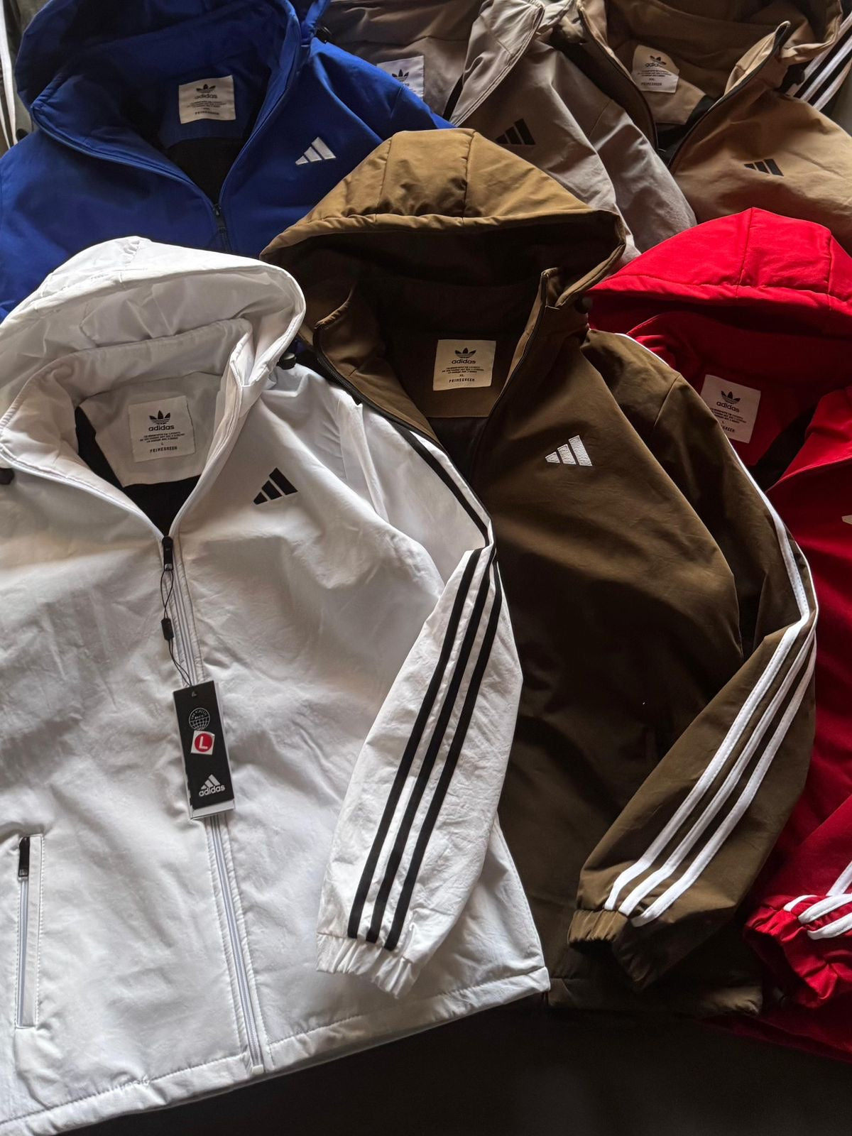 Adidas Jacket