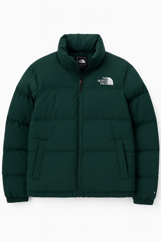 The North Face winter jacket Green